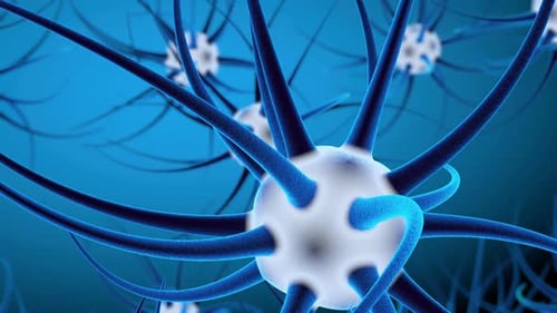 3D neuron cells network structure animation