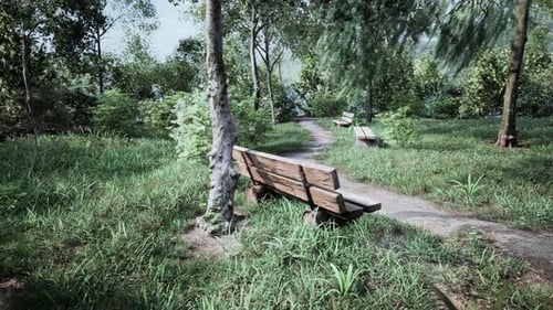 Serene Forest Trail with Benches and Lush Greenery