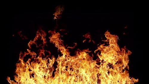 Roaring Flames Burning Against Black Background
