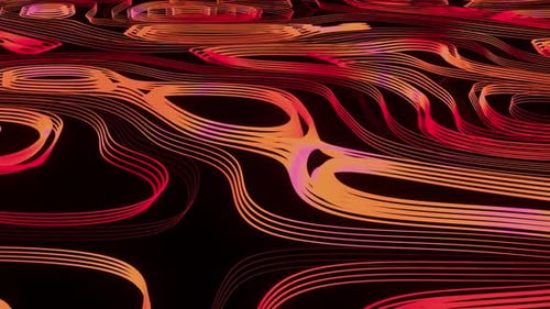 Laço Neon Stripes VJ