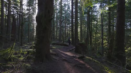 Caucasian Woman Trail Running in the Green Forest