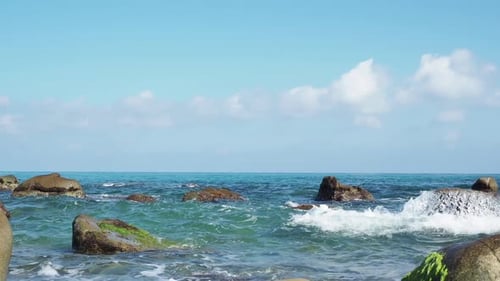 Sea