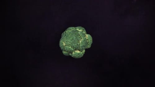 Chopped Broccoli Florets Falling in Slow Motion