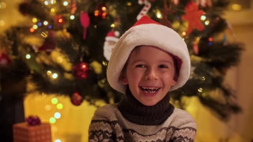 Happy Child Celebrates Christmas by Decorated Christmas Tree