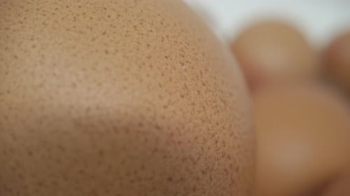 Free range eggs.
For the uk market.