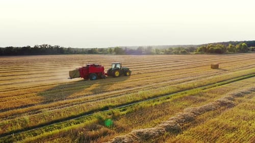 Traktor in einem frisch geschnittenen Heufeld. Schneiden und Ernten der Heupflanzen