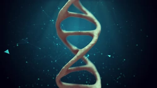 Biology of DNA Loop 4K