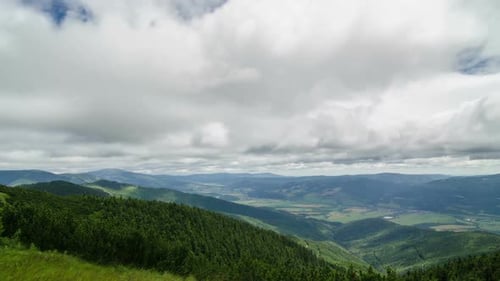 Clouds over Forest Landscape