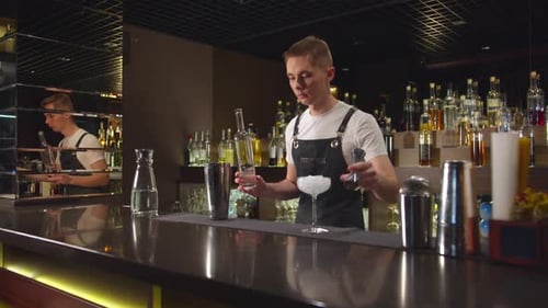 Bartender Pours Alcohol in Cocktail Shaker at the Bar
