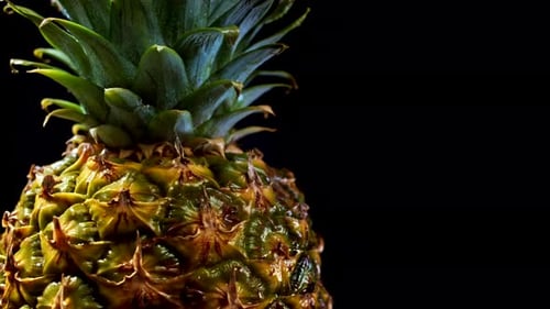 Saftige frische große Ananas rotierend auf schwarzem Hintergrund. Frucht isoliert. Makrooberfläche von Tropical