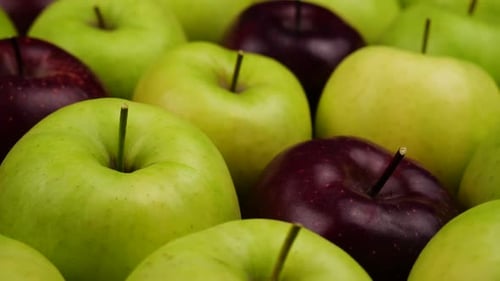 Green and Red Apples Fresh Food Close-Up