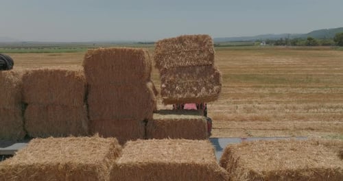 Hay Bales Loaded on a Truck on the Field