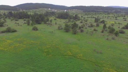 Village in the Meadow Near the Forest