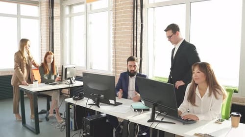 Young Businesss Ladies Sitting in Modern Office and Using Computer Discussing