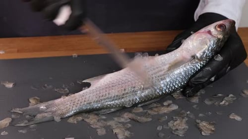 Hände schrubben Schuppen eines Wildbarbenfisches. Fische mit einem scharfen Messer von der Waage schälen