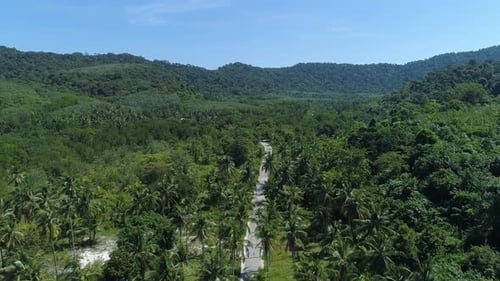 Fly up Aerial of an empty road surrounded by Palm Trees at Koh Kood Island, Thailand.