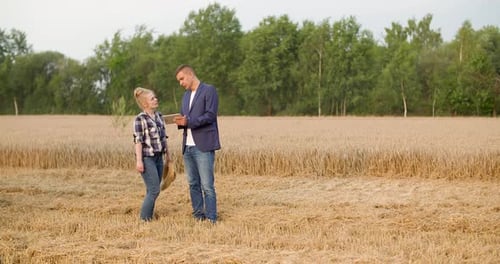 Man and Woman in Wheat Field Using Tablet