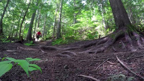 Woman riding unicycle in forest path 4k