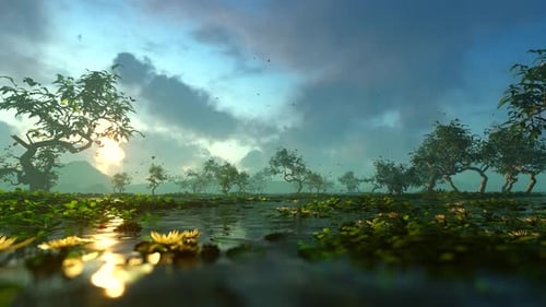Panorama Of The Lake With Water Plants