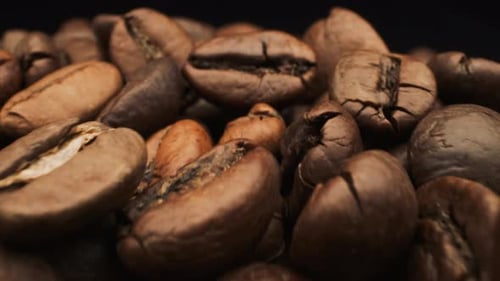 Aromatic Coffee Bean. Macro View.