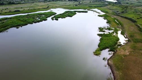 Lake among green fields. A pond surrounded by green meadows
