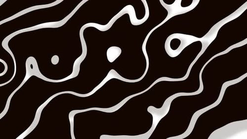 Abstract Fluid Lines Dynamic White and Black Background Animation