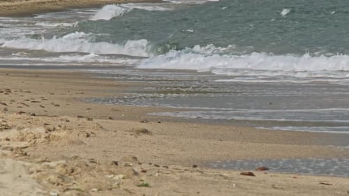 Vague de la mer sur la plage de sable