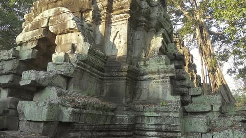 Ta Prohm Temple in Angkor Wat, Cambodia