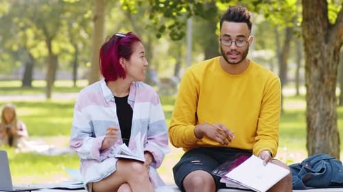 Multiethnische männliche und weibliche Schüler machen Hausaufgaben und reden im Park