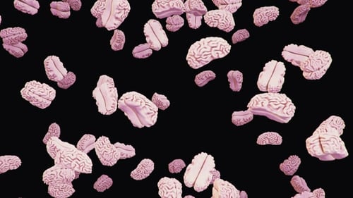 Pink Brains Floating and Rotating 3D Loop Animation