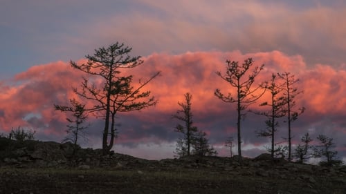 Lever de soleil des nuages rouges et des arbres