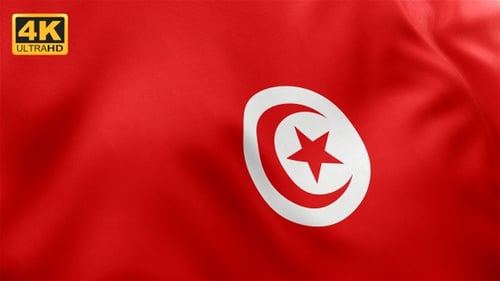 Seamless Waving Flag of Tunisia