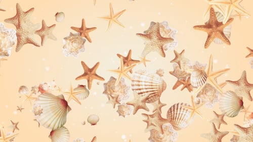 Floating Seashells and Starfish Ocean Background Loop