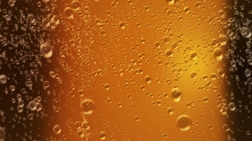 Bier-Blasen