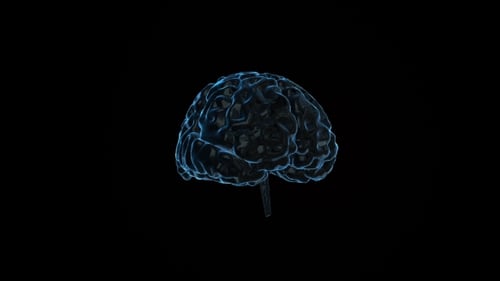 3D Brain Model with Glowing Neural Activity Loop Animation