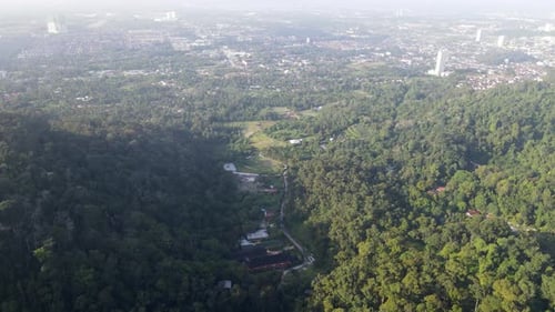 Aerial View of Forest Meeting Urban Landscape