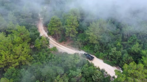 Um carro viaja ao longo de um caminho na floresta