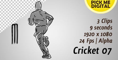 Dynamic Cricket Player Sketch Animation with Alpha Channel