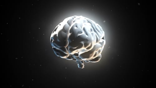 Big Strong Brain Pulsing in White