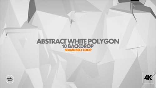Clean White Abstract Geometric Morphing Loop Background