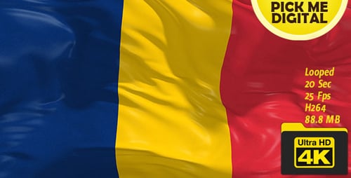 Chad National Flag Realistic Waving Loop Animation
