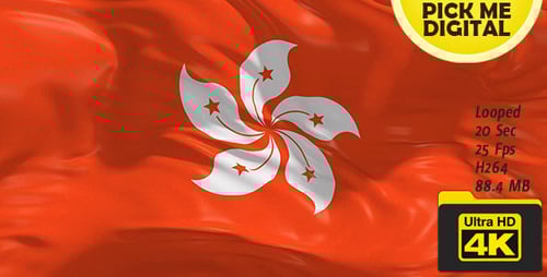 Hong Kong Flag Waving in Realistic Fluid Animation