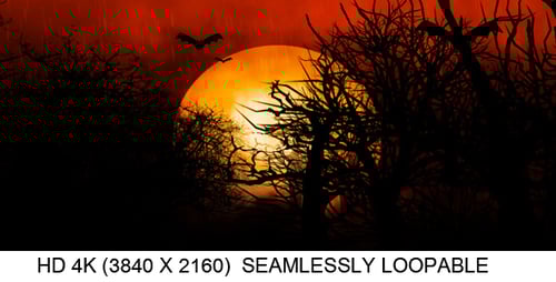 Animated Spooky Halloween Night with Bats and Full Moon