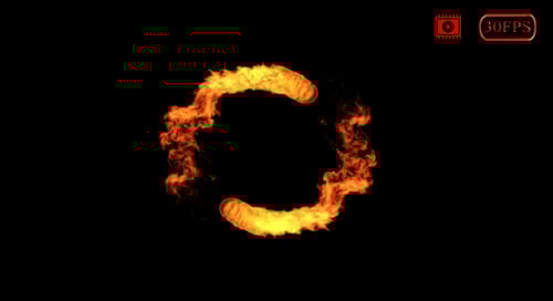 Realistic Fire Elements Pack with Circular Flame Animations