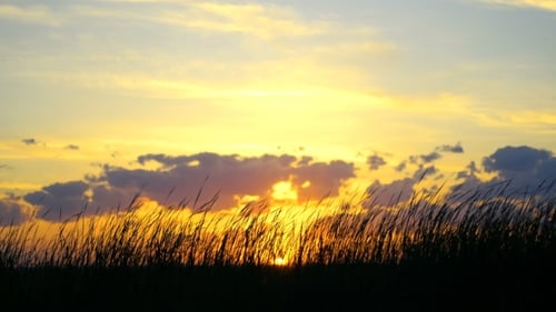 Sunset sky
