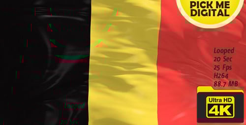 Realistic Waving Belgian Flag Animation