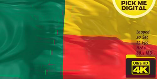 Benin Flag Realistic Waving Loop Animation
