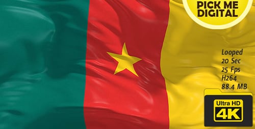 Realistic Waving Cameroon Flag Seamless Loop Animation
