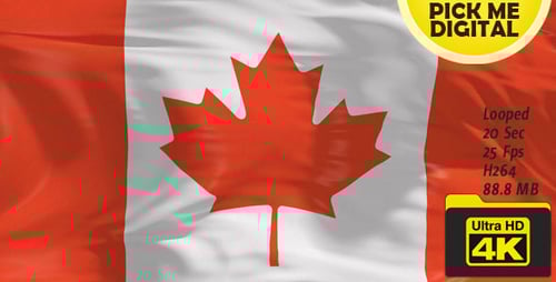 Realistic Waving Canada Flag Background Animation