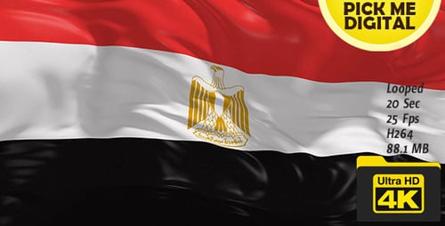 Waving Egypt Flag Seamless Loop Animation